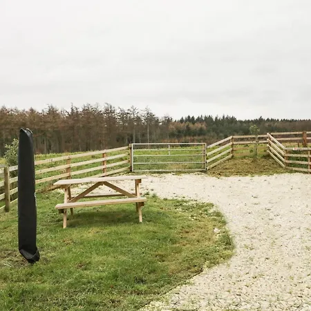 Forest View Дом отдыха